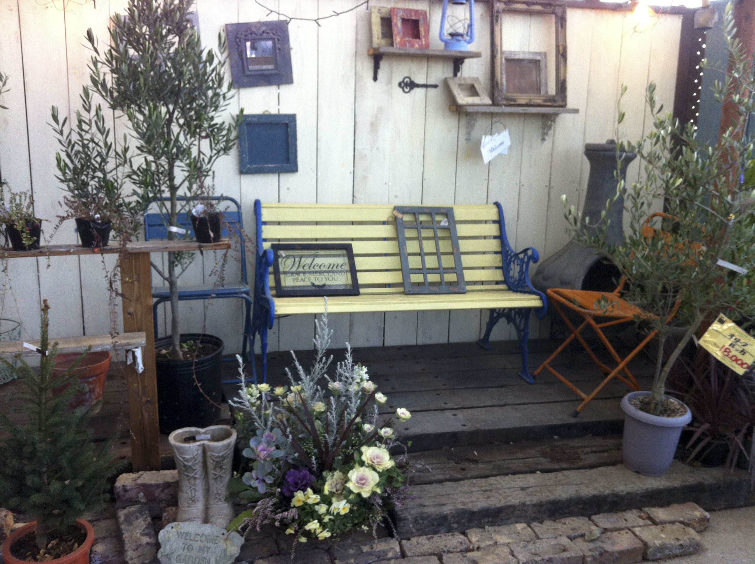 フローラ黒田園芸 元気で活きの良い植物専門店エコマルシェオニヅカのブログ