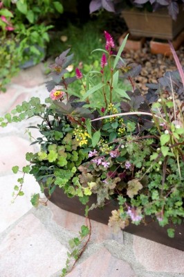 DSC09880_1