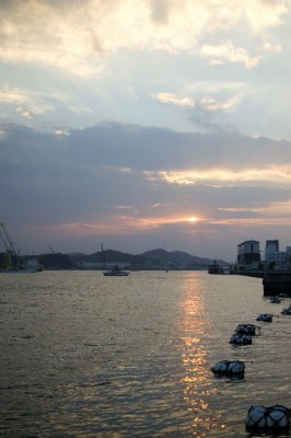 DSC04911_1