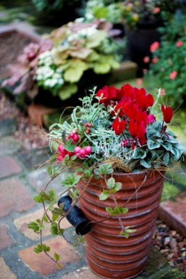 DSC07026_1
