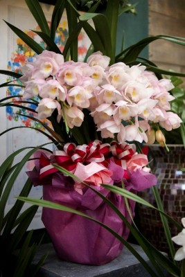 DSC07616_1