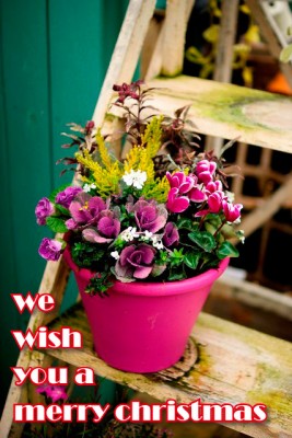 DSC08024_1