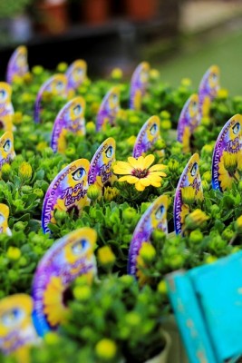 IMG_0999_1