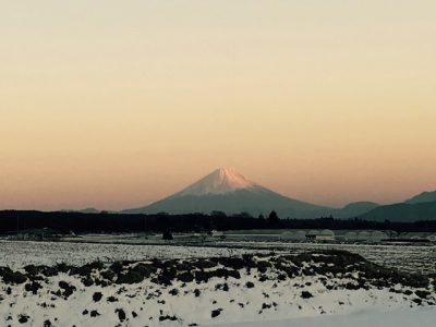 写真 2017-02-15 17 21 22