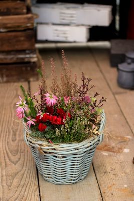 IMG_9076_1