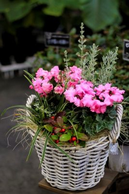 IMG_9472_1