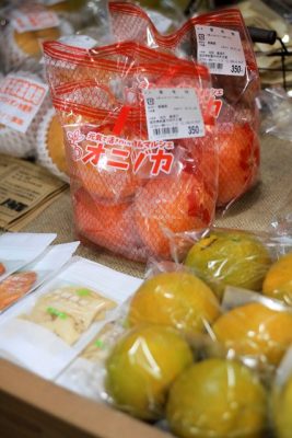 IMG_0621_1