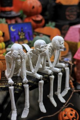 IMG_7236_1
