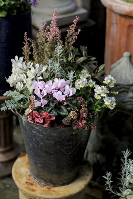 IMG_9402_1