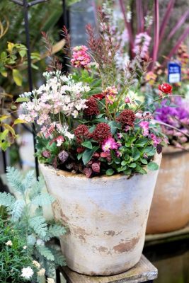 IMG_0295_1
