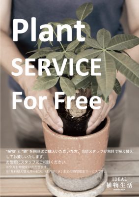 無料植え替えサービス