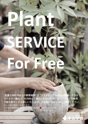 無料植え替えサービス本店