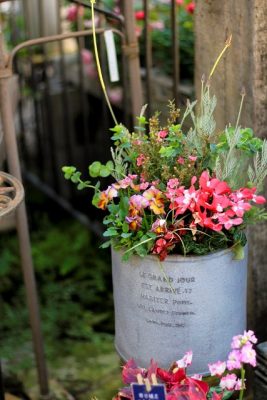 IMG_7899_1