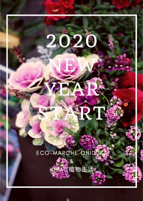 2020 NEW YEAR START-2