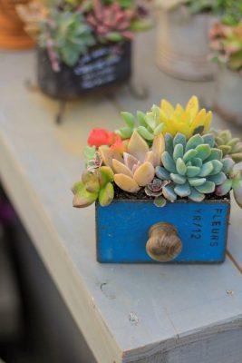 IMG_9005_1