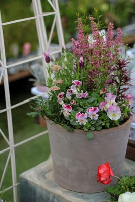 IMG_9493_1