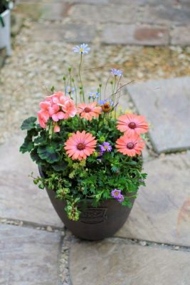 IMG_0324_1