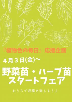 野菜苗スタートフェア