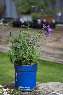 IMG_1310_R_1