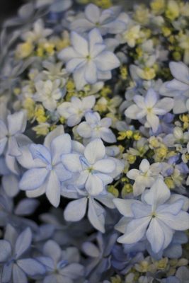 IMG_9857_R_1