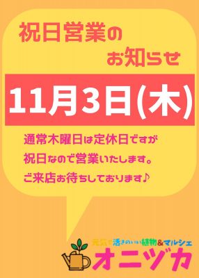 11月4日祝日営業