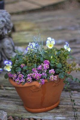 IMG_6934_R_1