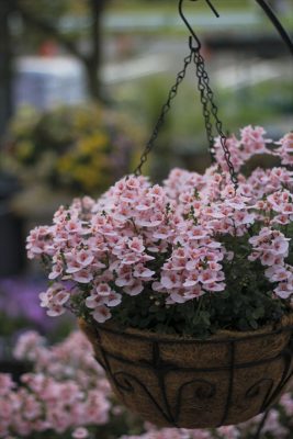 IMG_0844_R_1