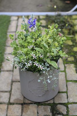 IMG_2107_R_1