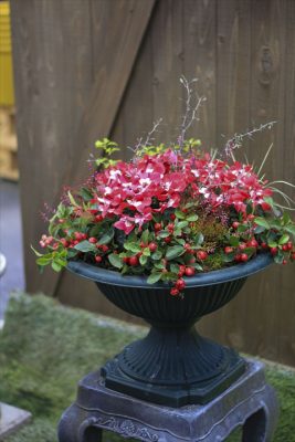 IMG_7770_R_1