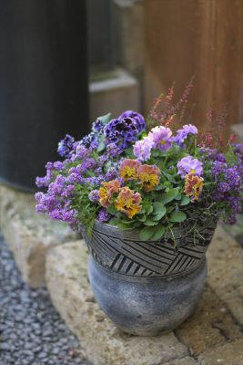 IMG_7796_R_1