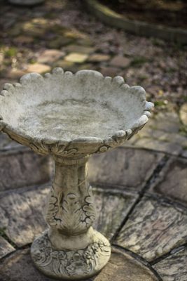 IMG_9234_R_1