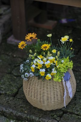 IMG_9257_R_1