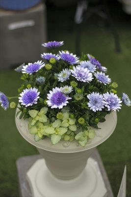 IMG_0544_R_1