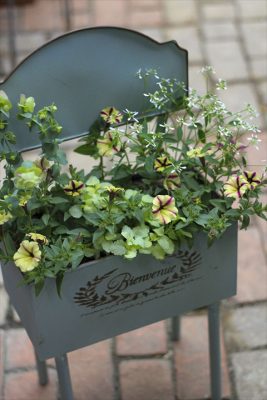 IMG_0844_R_1