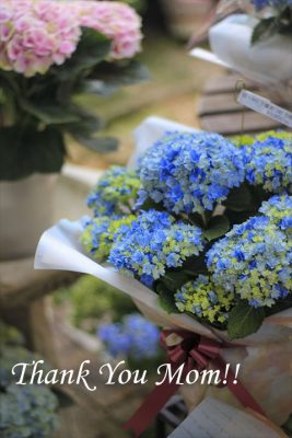 IMG_1947_R_1
