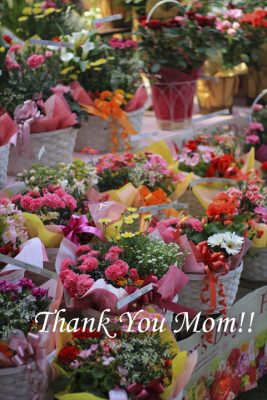 IMG_1965_R_1