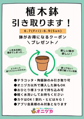 鉢の引き取り 2024