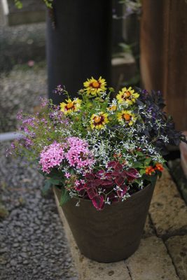 IMG_2548_R_1