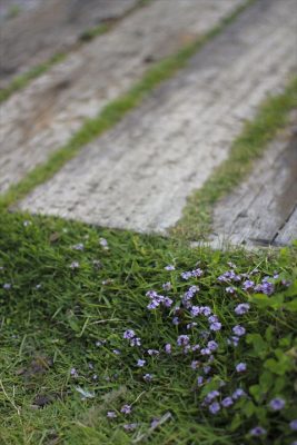 IMG_2561_R_1