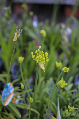 IMG_2614_R_1