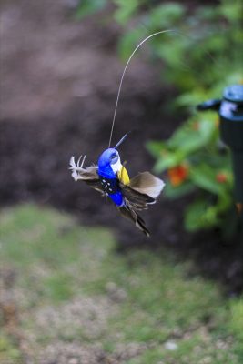 IMG_2672_R_1