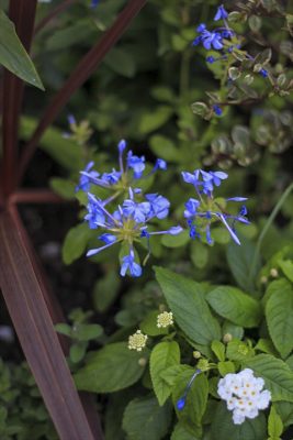 IMG_3710_R_1