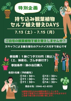 3日間限定 (1)