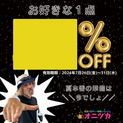 決算５０％クーポン