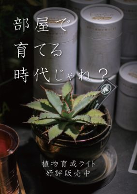 植物育成ライト