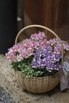 写真 2025-03-27 16 20 11_R_1