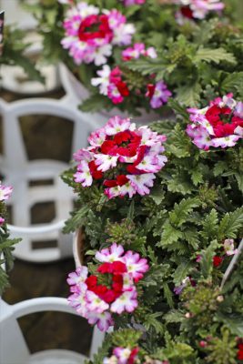 写真 2025-03-20 16 56 34_R_1