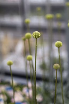写真 2025-04-01 16 21 51_R_1