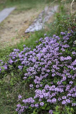 写真 2025-04-20 16 38 12_R_1