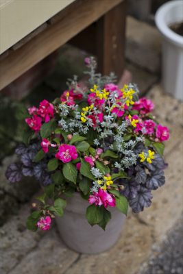 写真 2025-04-20 16 52 03_R_1